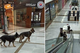 Policajne psy hladali bombu v nakupnom centre petrzalka kolaz.jpg