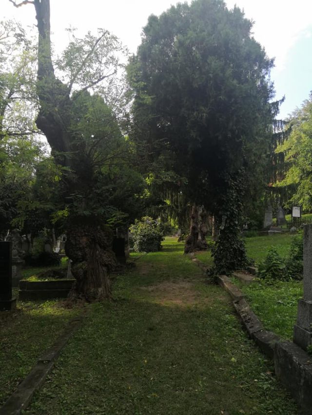 Mikulášský cintorín v Bratislave
