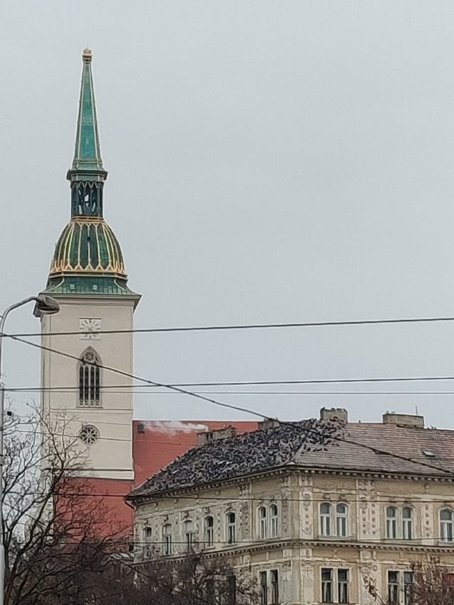 Holuby v Starom Meste Bratislava