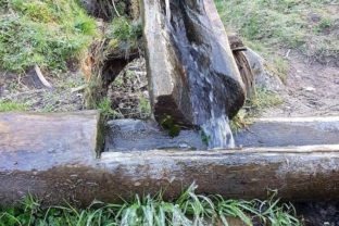 Mestské lesy v Bratislave testovali pitnú vodu