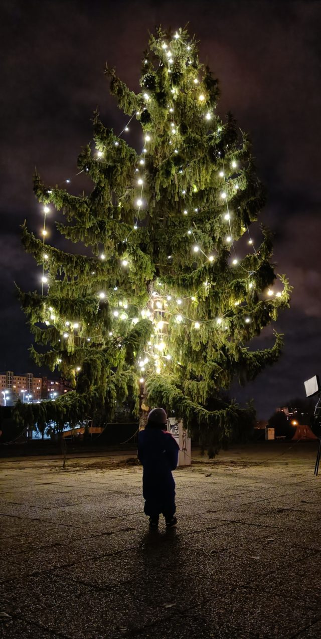 Najkrajší vianočný stromček