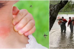 zásah proti komárom