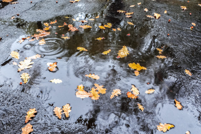 Pocasie jesen predpoved ochladenie dážd