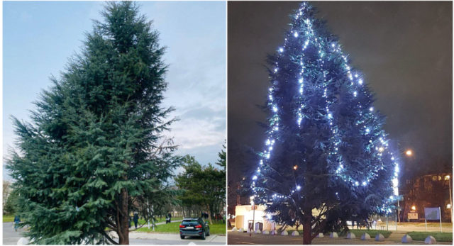vianočný stromček v Podunajských Biskupiciach