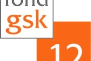 Fond GSK 2012