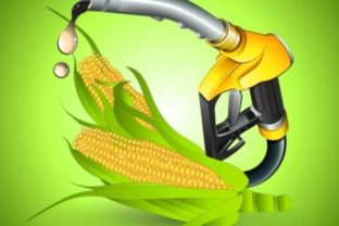 Biopalivá