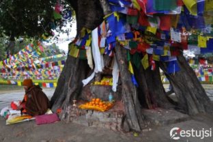 Nepálske Lumbini: V rodisku Budhu