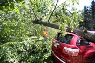 Poľsko zasiahli silné búrky, vyvrátený strom zabil ženu
