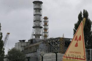 V okolí černobyľskej elektrárne sa darí divej zveri