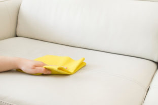 Cleaning a beige sofa