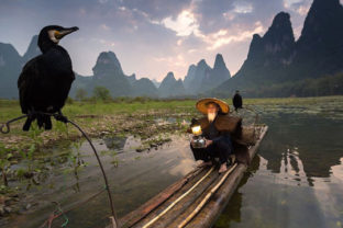National geographic photo of the day internet favorites 2015__880.jpg