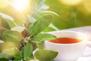 šalviový čaj, šalvia, bylinky, bylinkový čaj, nápoj