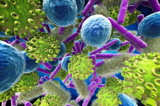 Baktérie, vírusy