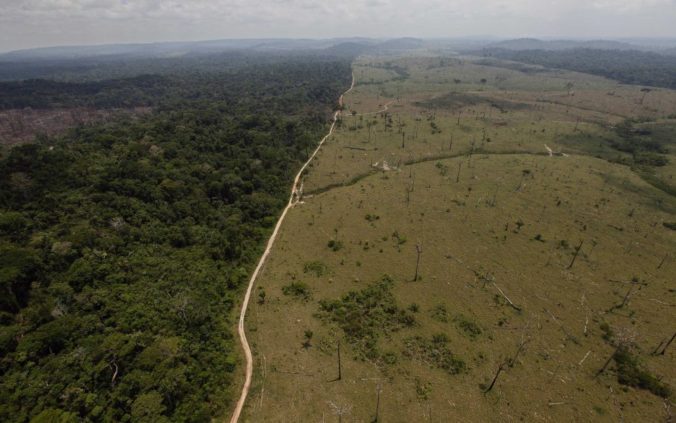 Odlesňovania amazonského pralesa prudko stúplo, mizne neuveriteľnou rýchlosťou