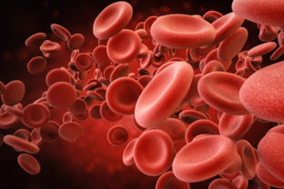 červené krvinky, krv