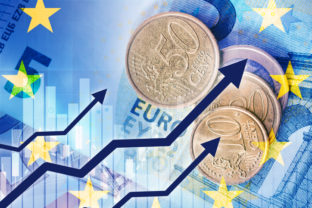Euro, rast