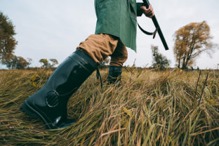 Cropped image of hunter going with a gun in a field