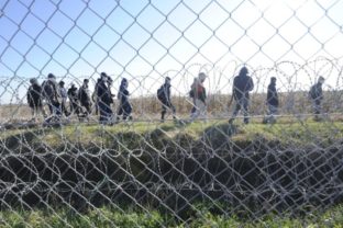 migranti, Maďarsko