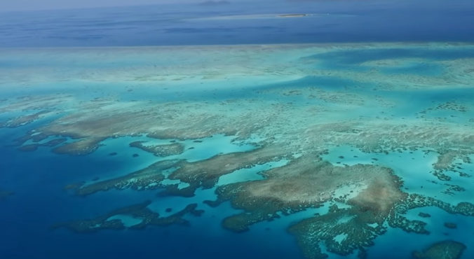 Video: Vyhliadky pre Veľkú koralovú bariéru sú veľmi zlé, najviac ju ohrozuje globálne otepľovanie