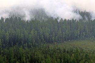 Masívny lesný požiar na Sibíri v Rusku, podľa meteorológov za to môžu aj klimatické zmeny. 2. august 2019