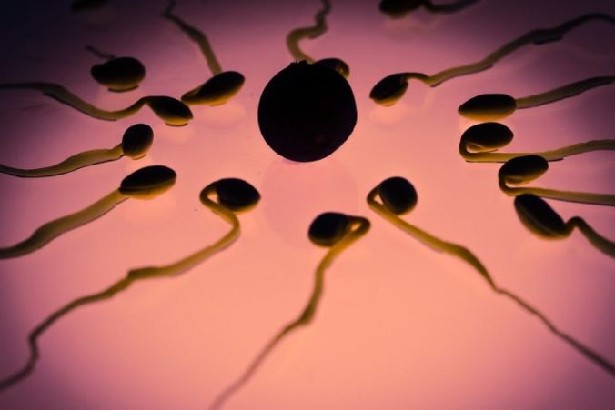Lekár zažaloval kliniku za zneužitie jeho darovaných spermií