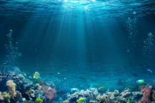 Podmorský svet, oceán