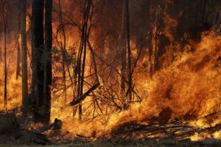 rady v austrálskom štáte Viktória pre masívne lesné požiare predĺžili stav núdze a vyzvali ľudí vo východných regiónoch na evakuáciu. 9. január 2020