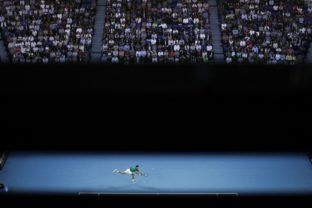 Novak Djokovič, Australian Open, finále