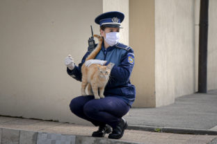 Polícia, Rumunsko