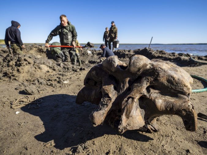 Nájdené telo takmer celého mamuta v ruskej Sibíri