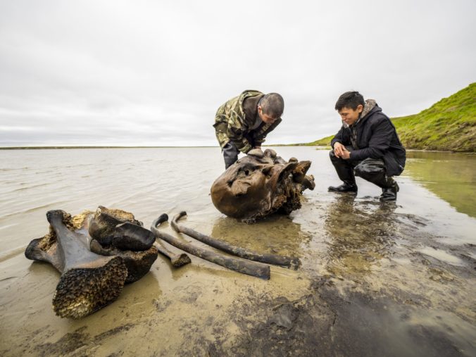 Nájdené telo takmer celého mamuta v ruskej Sibíri