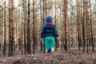 Stratené dieťa, les