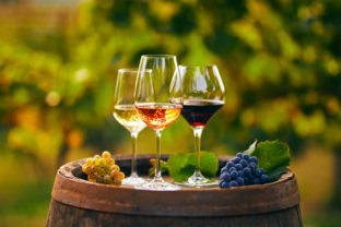 Vinohrad, víno