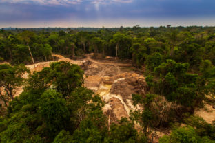 Odlesňovanie, Amazonský prales