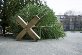 Vyhodený vianočný stromček