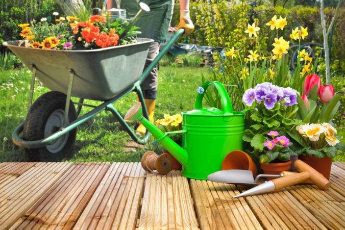 Jar už je za dverami… Čo všetko treba prichystať na nadchádzajúce obdobie v záhrade a dielni?