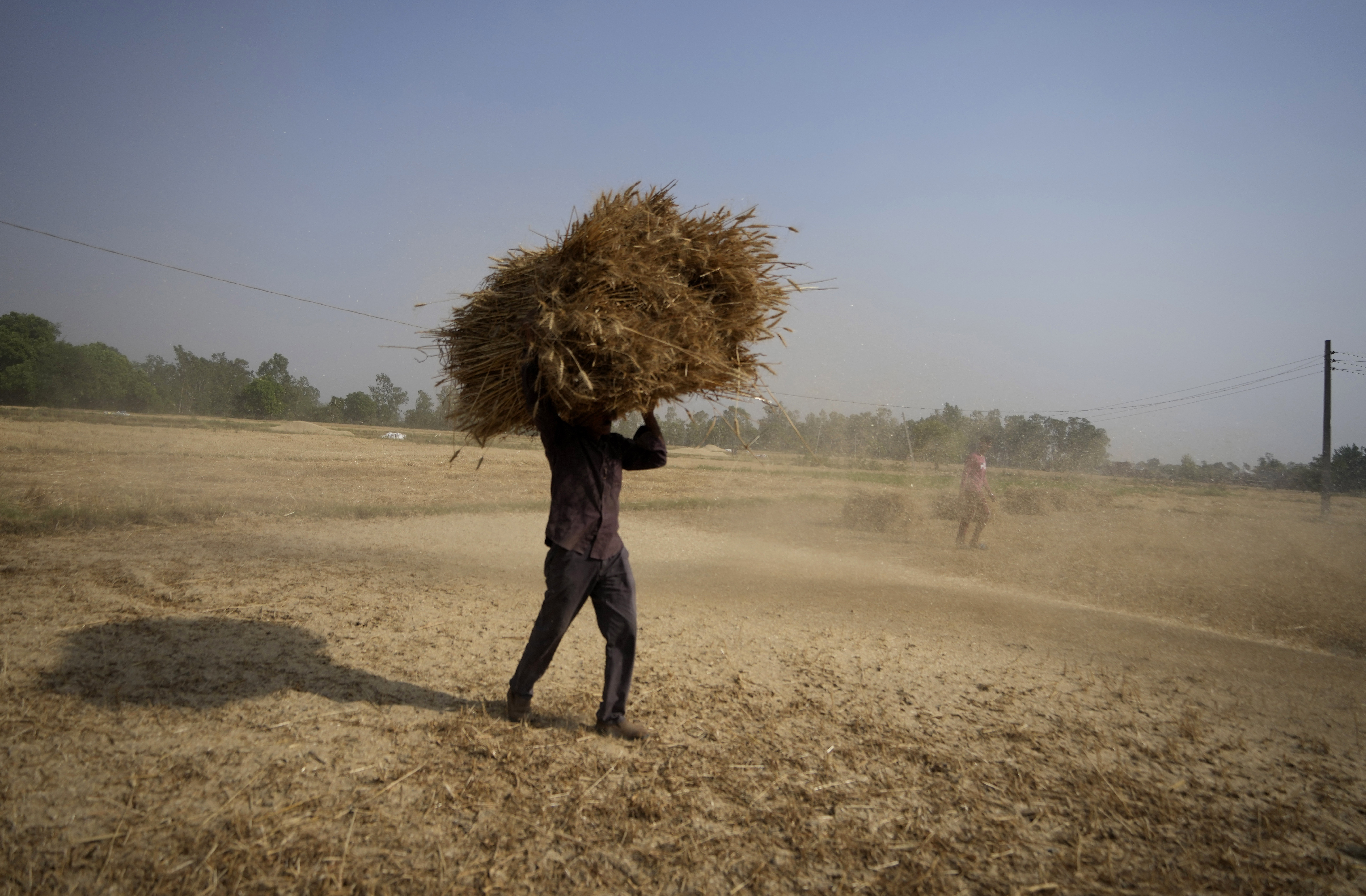 FILE- An Indian farmer carries wheat crop harvested from a field on the outskirts of Jammu, India, April 28, 2022. India on Sunday said it has kept a window open for food-deficit countries to import wheat from the country at the government level despite restrictions on export announced two days ago. ()