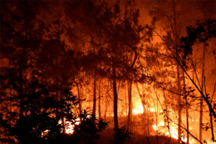 This photo provided by the SDIS30 fire brigade shows trees burning during a fire Thursday, July 7, 2022 near Bordezac, in southern France. Hundred of firefighters backed by water-dropping planes battled a large forest fire Friday in southeast France that has forced the evacuation of nearby villages.Thirteen firefighters have been injured in Bordezac — the village where the fire started.