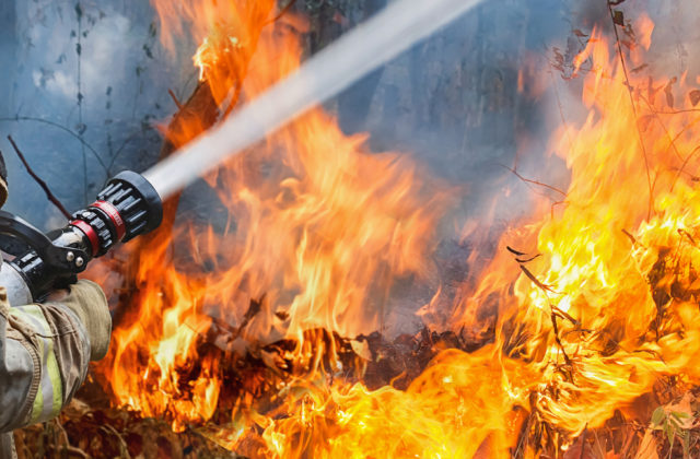 Požiar na Železnej studničke si vyžiadal zásah takmer 60 hasičov, prácu im komplikoval silný vietor