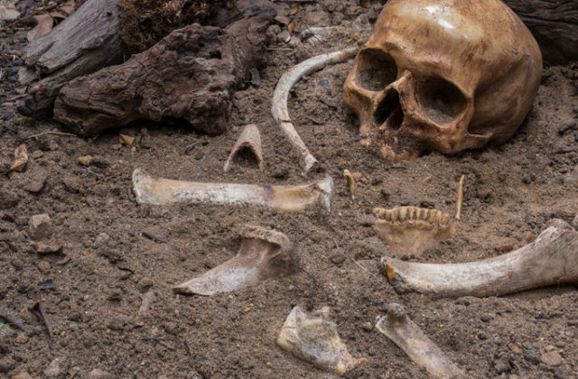 Českí archeológovia objavili hrob keltského bojovníka, pochovaný bol aj s netradičným náramkom