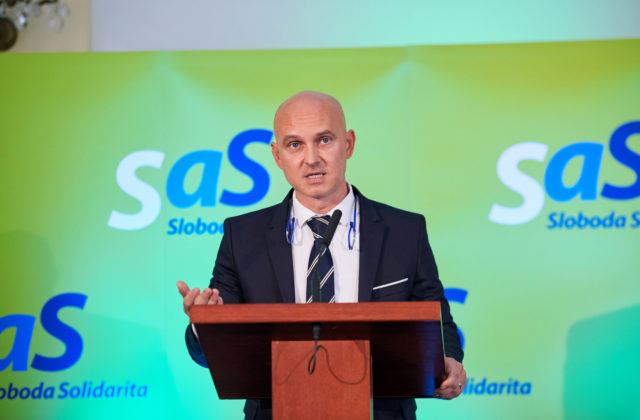 Strana SaS nepodporí odvolanie Kolíkovej z funkcie, oznámil minister Gröhling