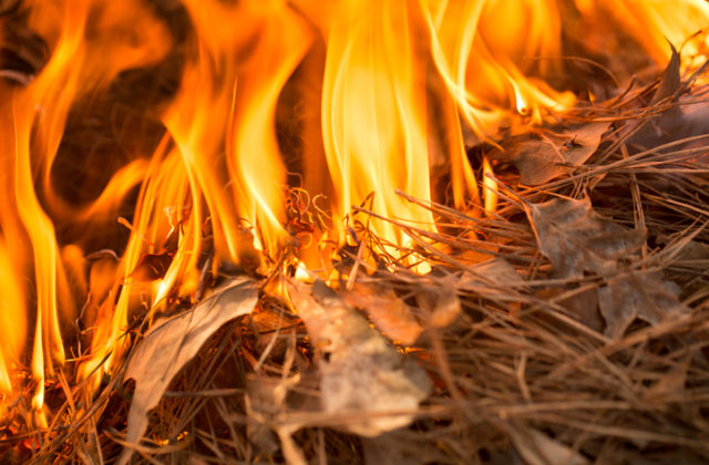 Hasiči evidujú zvýšený počet požiarov spôsobených vypaľovaním suchých porastov, opäť apelujú na občanov