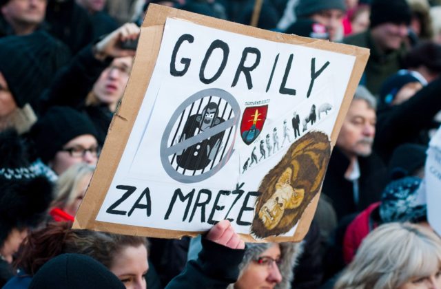 Nahrávka Gorily má byť zničená, Haščákovi právnici kritizujú špeciálneho prokurátora Lipšica