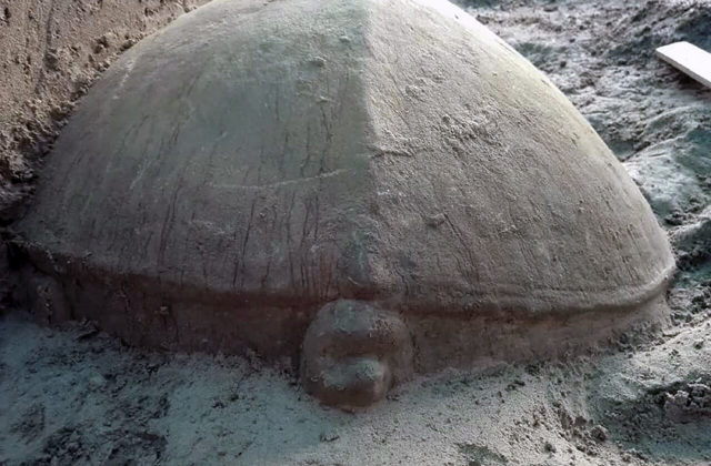 V komplexe Angkór Vat našli veľkú sochu korytnačky, je zrejme z desiateho storočia (video)