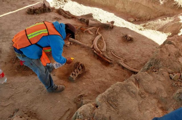 Archeológovia objavili na stavbe letiska pri hlavnom meste Mexika kosti desiatok mamutov