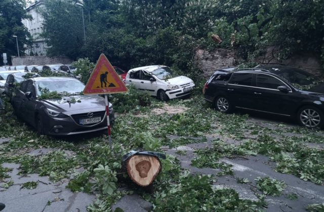 Silný vietor vyvrátil strom v Starom meste a zničil štyri autá (foto)