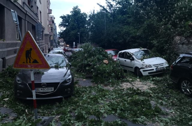 Silný vietor na Slovensku lámal stromy aj ničil strechy, hasiči mali desiatky výjazdov