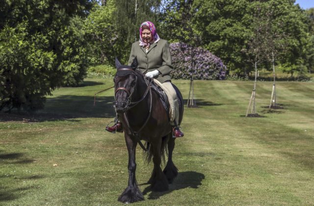 Kráľovná Alžbeta II. si bola prvýkrát od začiatku pandémie zajazdiť na koni (foto)