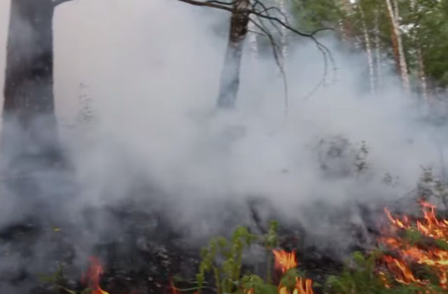 Nezvyčajná vlna horúčav spôsobila na Sibíri lesné požiare, za týždeň sa päťnásobne zväčšili
