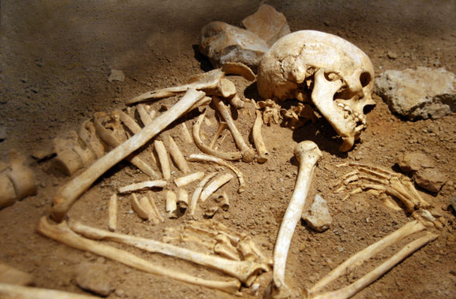 Žena cestovala s kosťami svojho mŕtveho manžela, rozhodla sa vykopať mu nový hrob